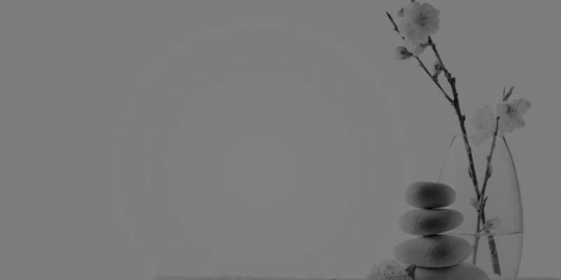 Showit backgroundss copy 3