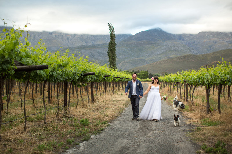 Niki M_South African Wedding and Elopement Photographer_003