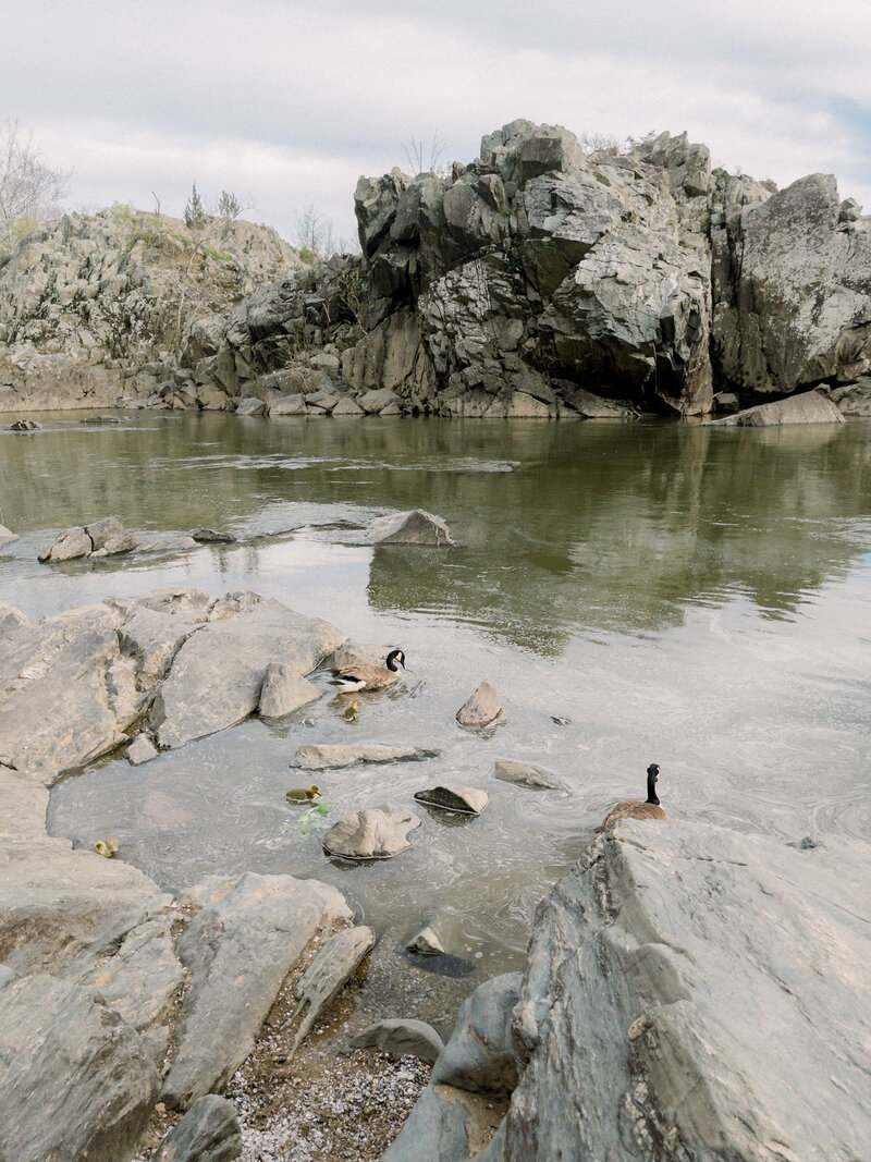 Calm waters of Great falls in Maryland during the sunset for an engagement session