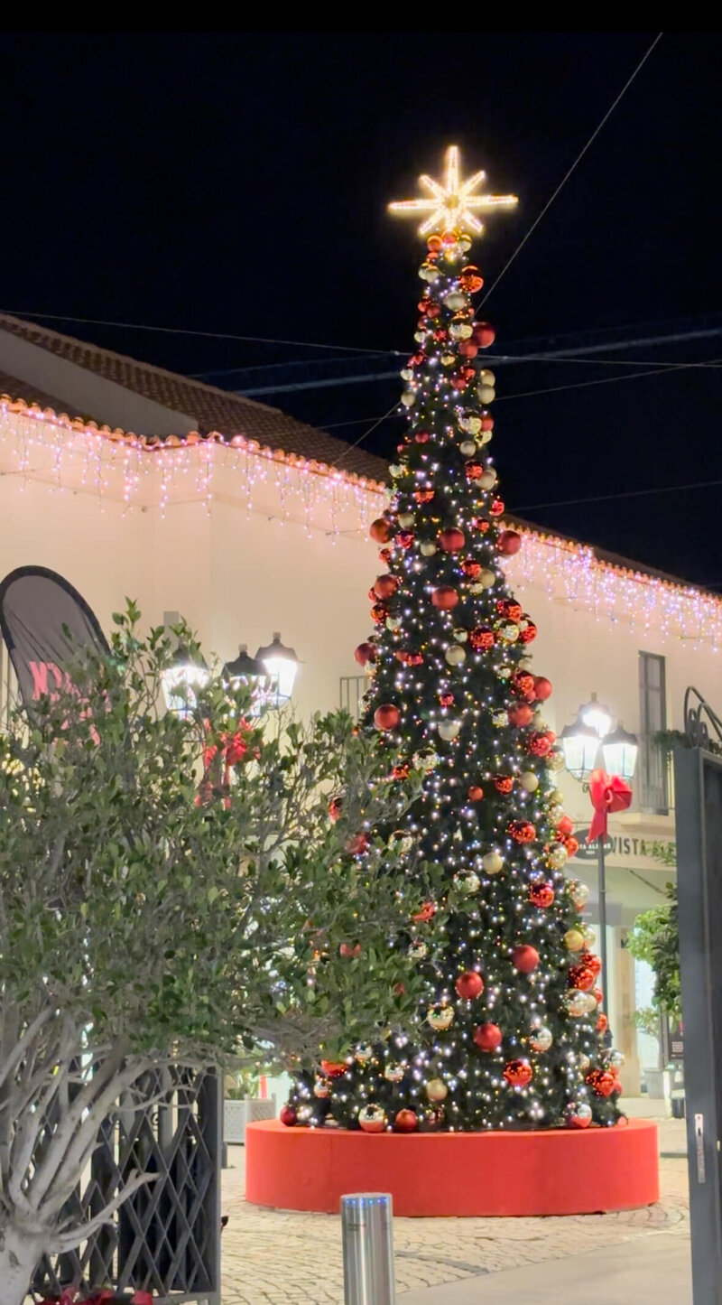 Christmas tree in algarve