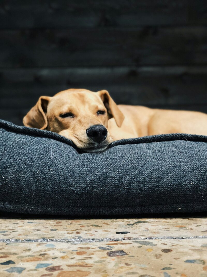 tj-kolesnik-nbkvjM05ogY-unsplash