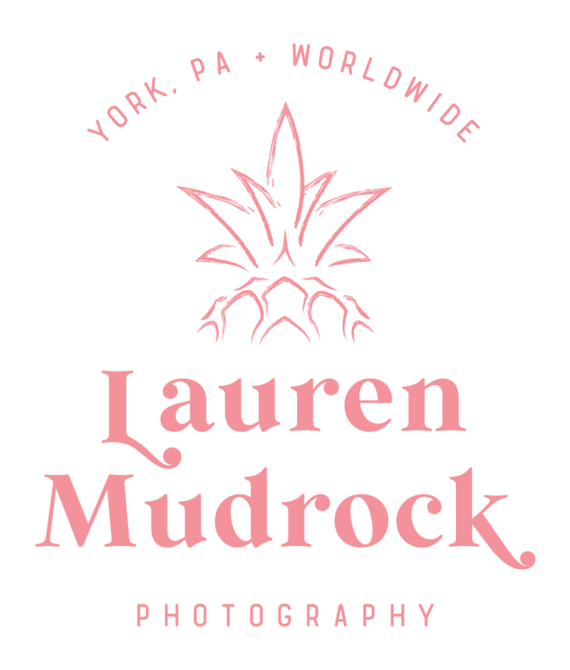 Simple pineapple illustration and words "Lauren Mudrock Photography"