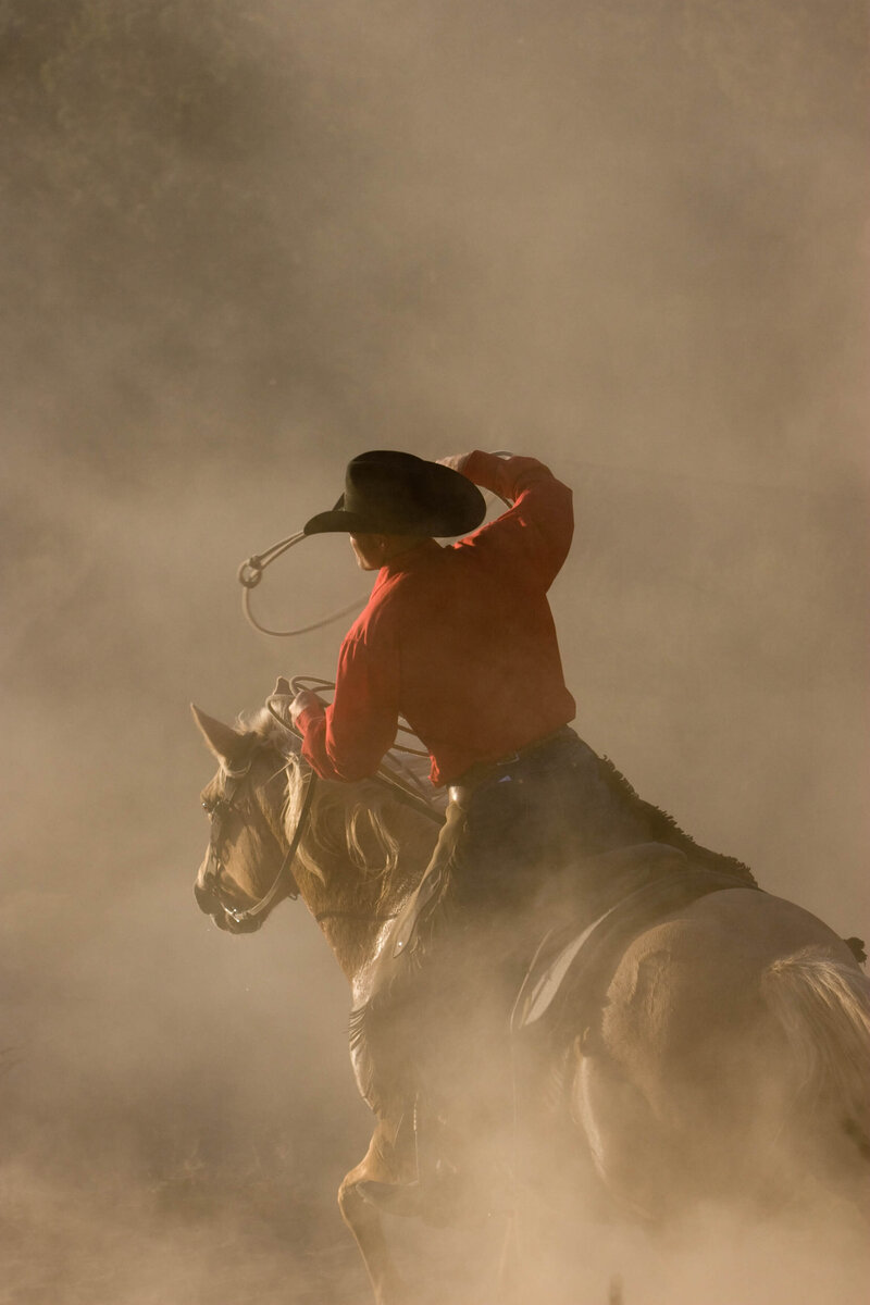 wenatchee-horse-photographer-yellowstone-horse-photos (12)