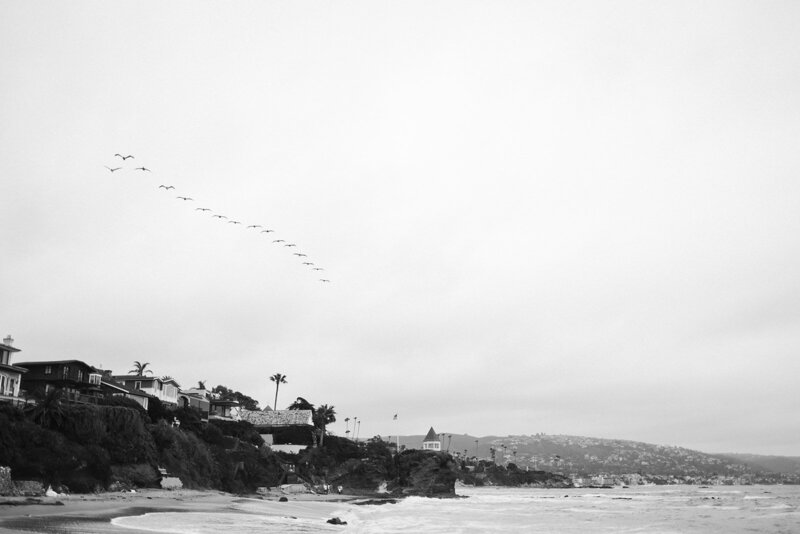 vintage California coast photo