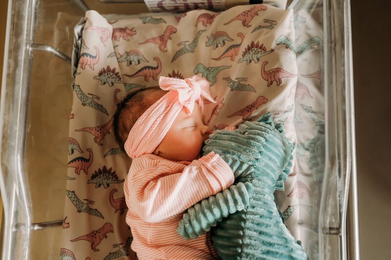 Newborn baby girl snuggled with a dinosaur sleeps in hospital bassinet during Fresh 48 photography session in Charlotte, NC