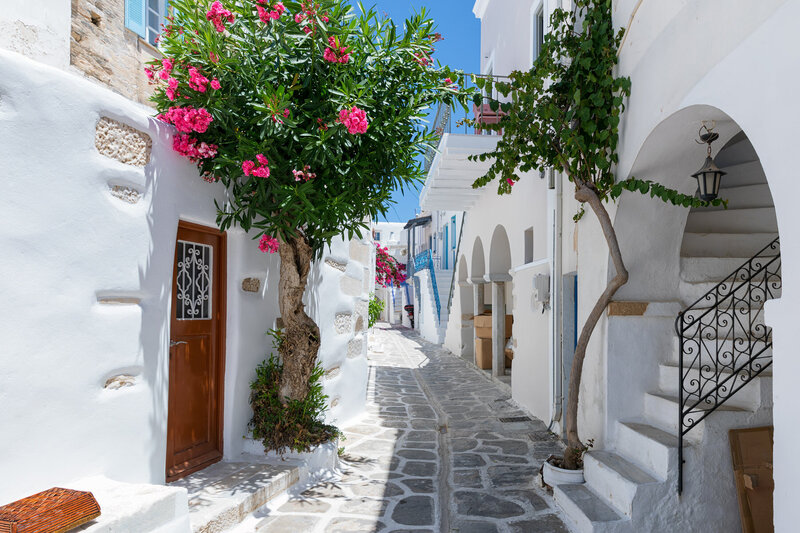 Narrow cobblestone street with whitewashed buildings and vibrant pink flowering trees. A wooden door and wrought iron staircase are visible, leading to balconies with vegetation. Bright blue sky above.