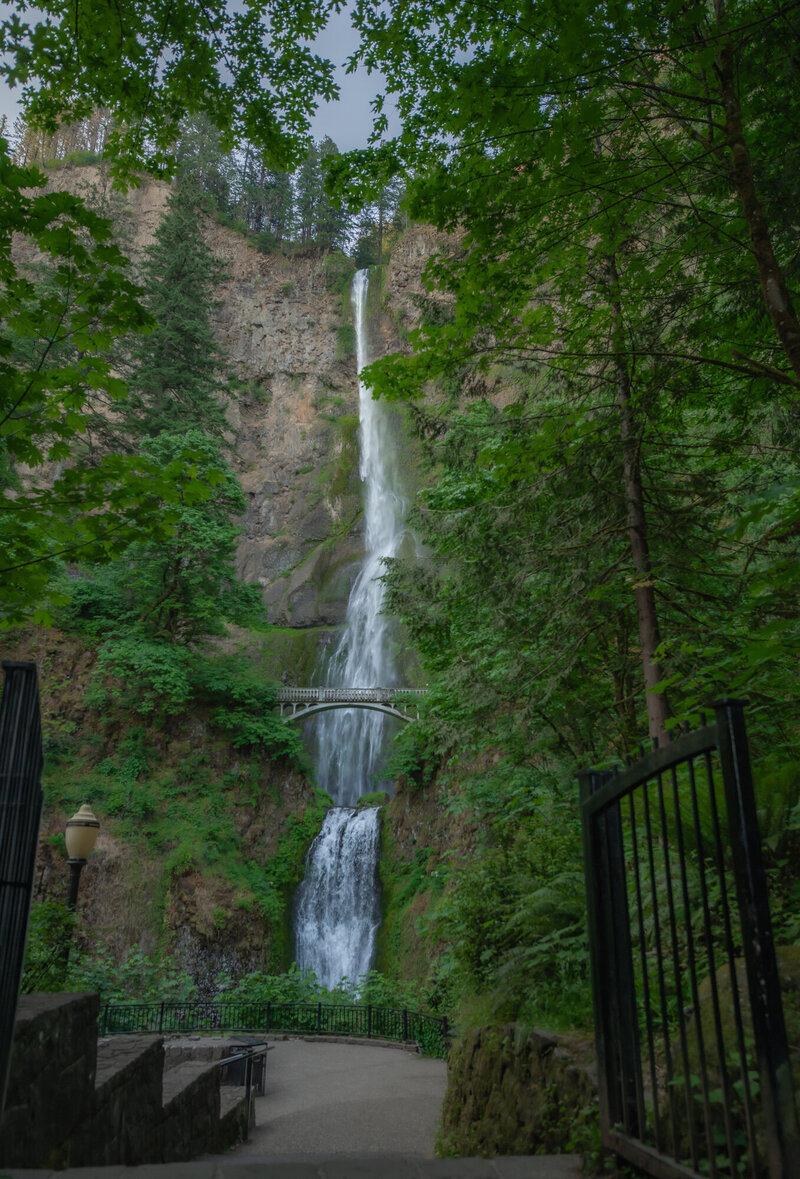 Best Family Photographer in Camas & Vancouver, WA