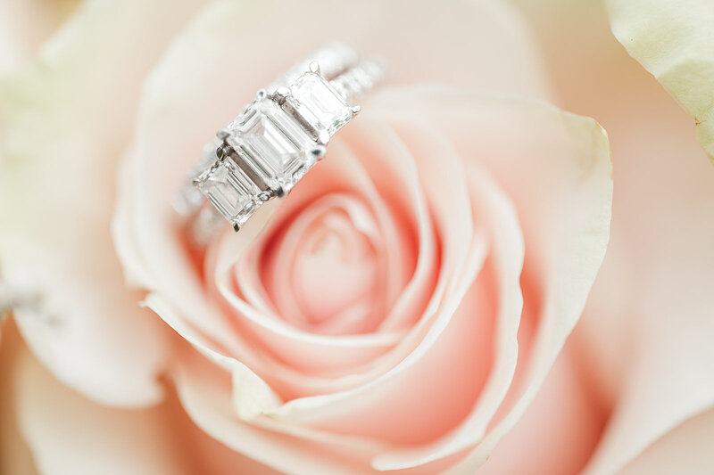 close up of wedding ring on a pink rose by york and lancaster pa photographer