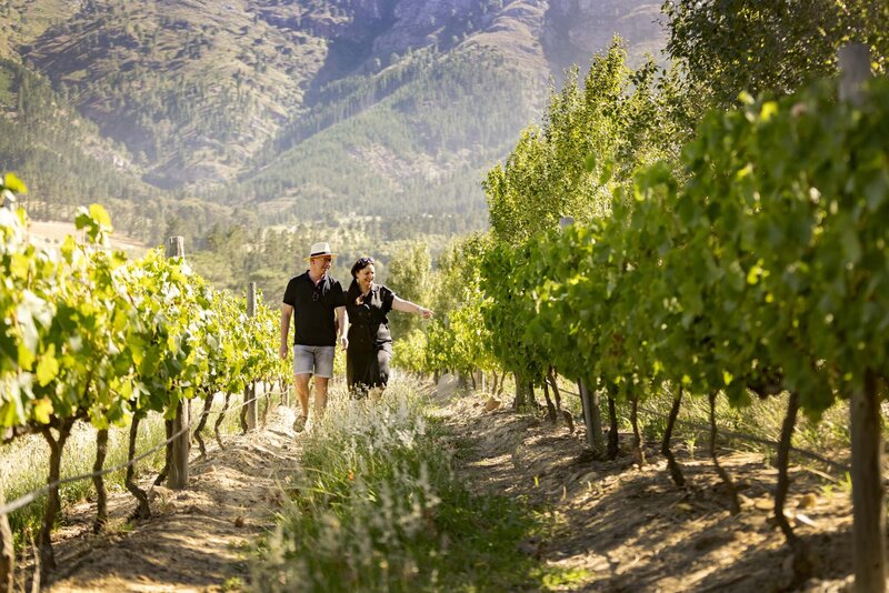MyLiefste wines Franschhoek South Africa. Sauvignon Blanc, Merlot, Shiraz. Witte wijn Zuid-Afrika, rode wijn Zuid-Afrika. Zuid Afrikaanse wijnen MyLiefste.
