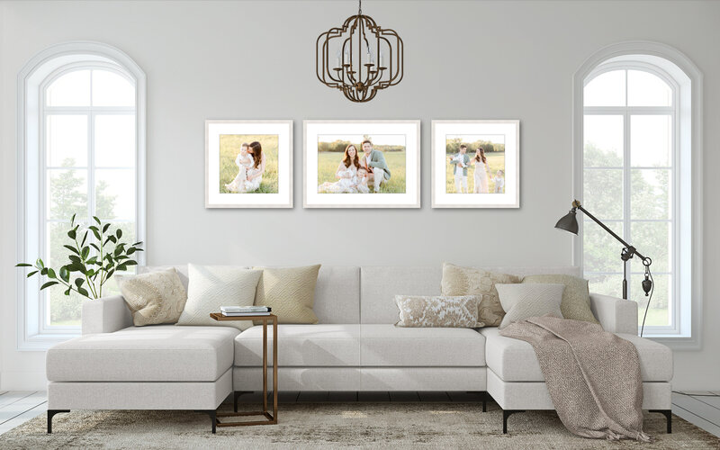 A Newborn Photographer Washington DC photo session in stunning frames on the wall in a living room