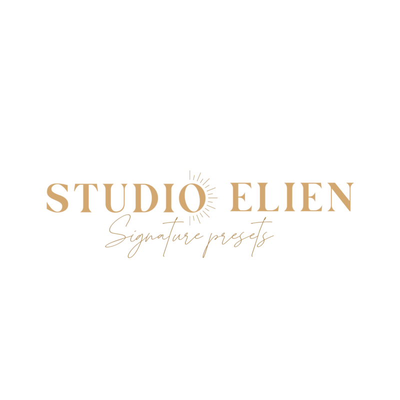 Logo Studio Elien Signature Presets