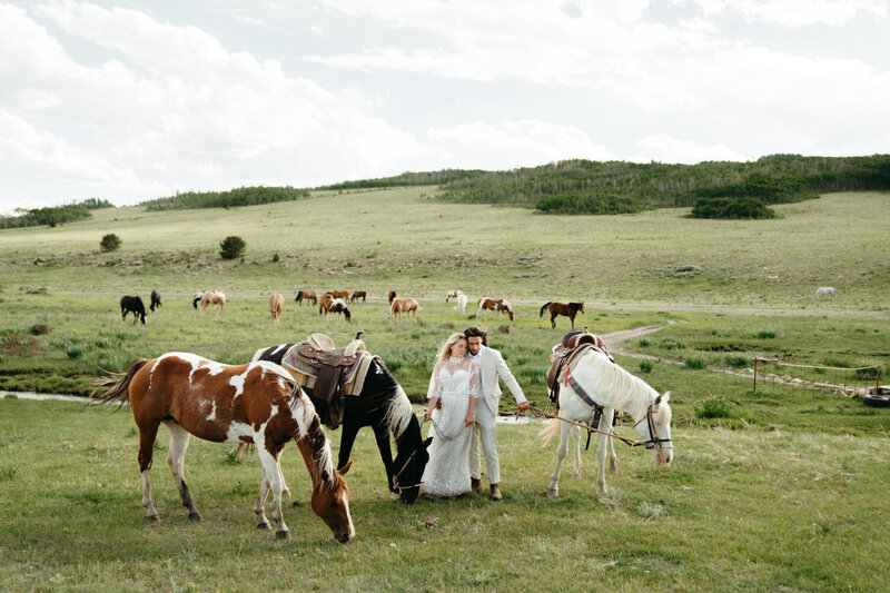 Couple stands in a large meadow between multiple horses for their hiking wedding