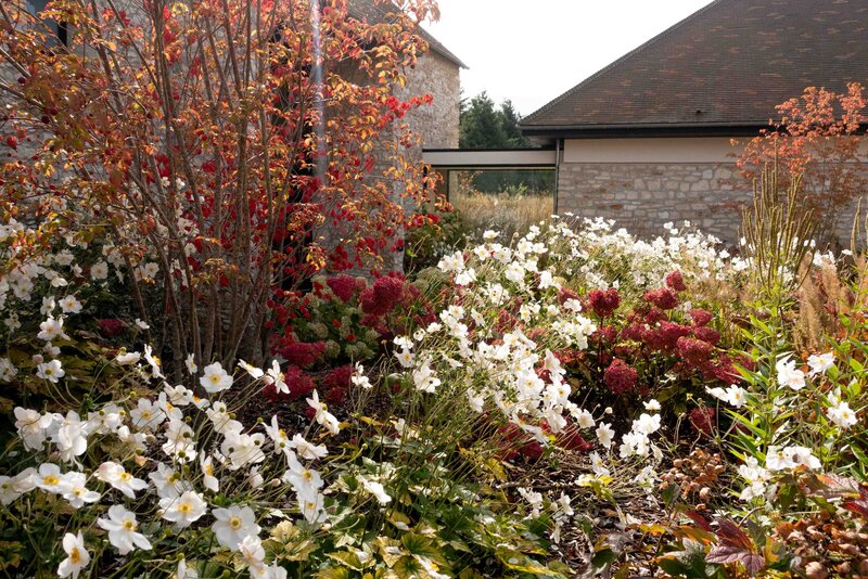 Esquisse d'un jardin arboré avec chemin aménagé