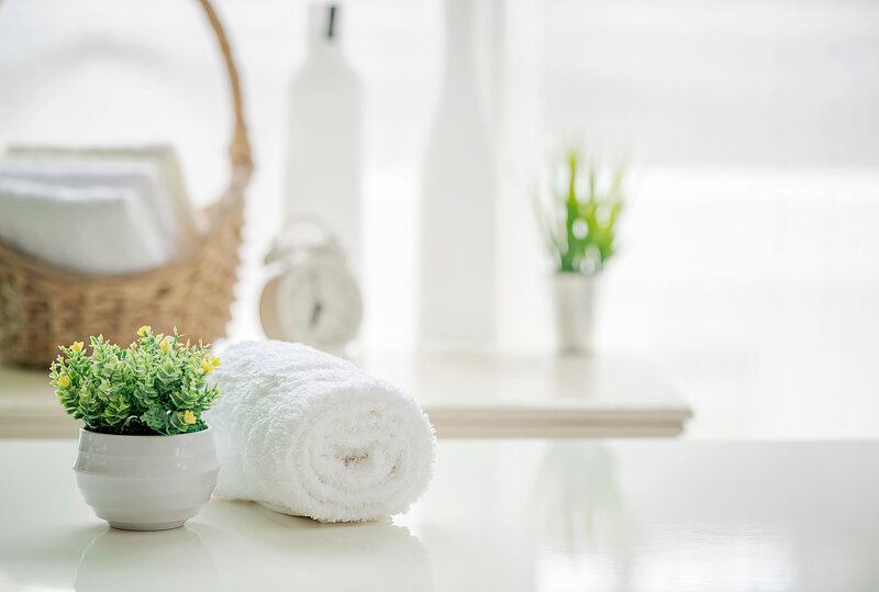 Rolled white towel and potted greenery on a clean surface in a bright, calming spa environment—symbolizing peace and renewal.
