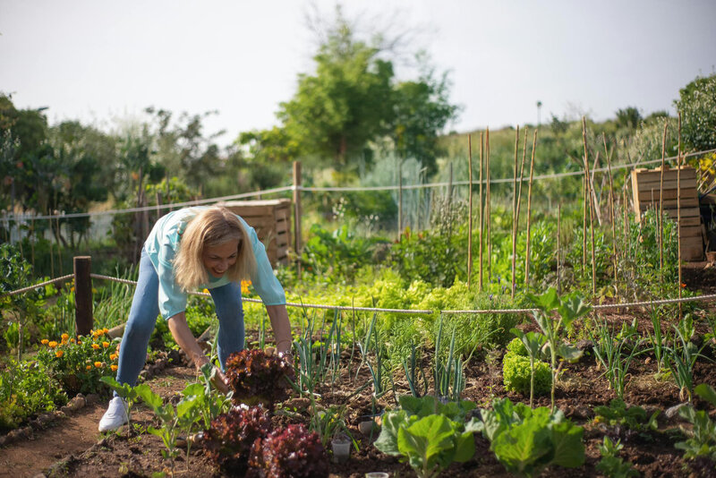 woman adding wool pellets to her outdoor garden