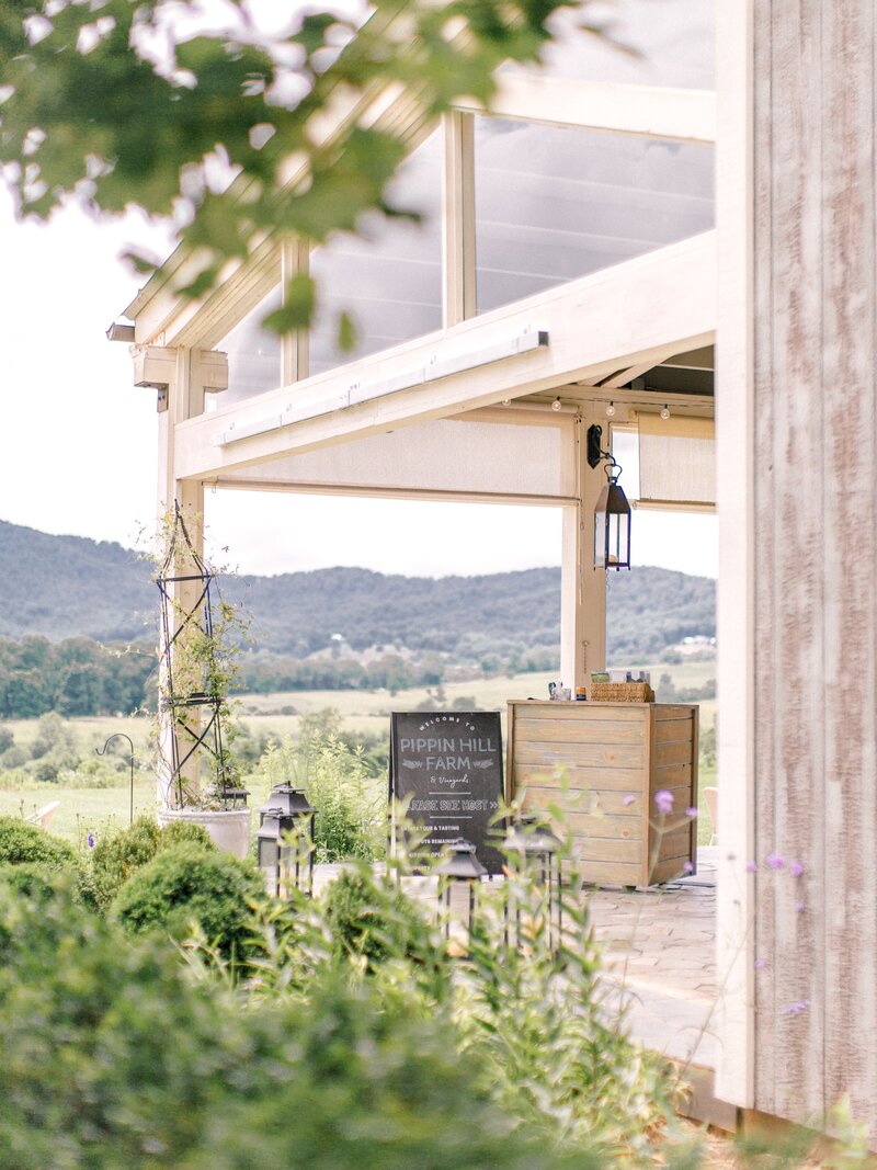 Pippin Hill Wedding Charlottesville Virginia Photographer_25