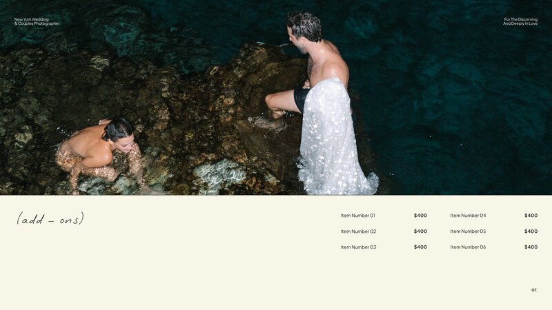 dylan james pricing guide mockup