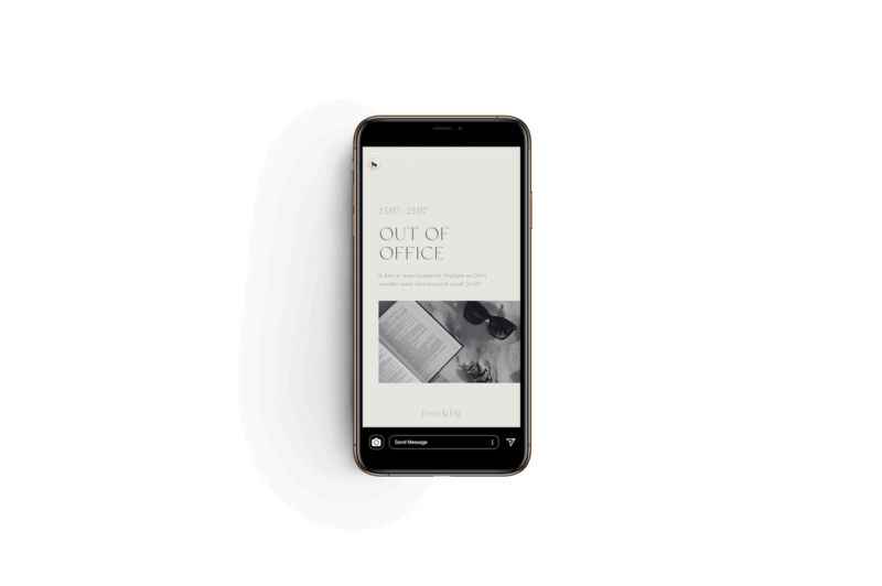 Instagram story templates interieur designer Fern & Fig 4