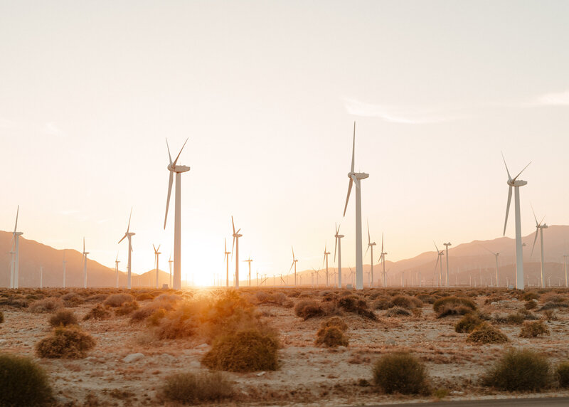 Palm Springs Windmills