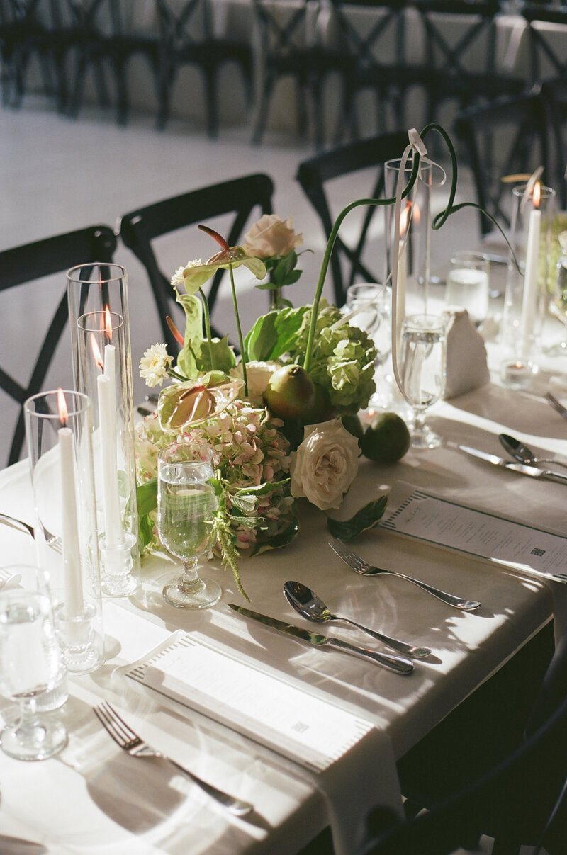 virginia wedding reception bride dancing