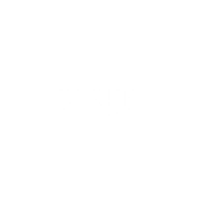 Brynn Burke Photography Logo