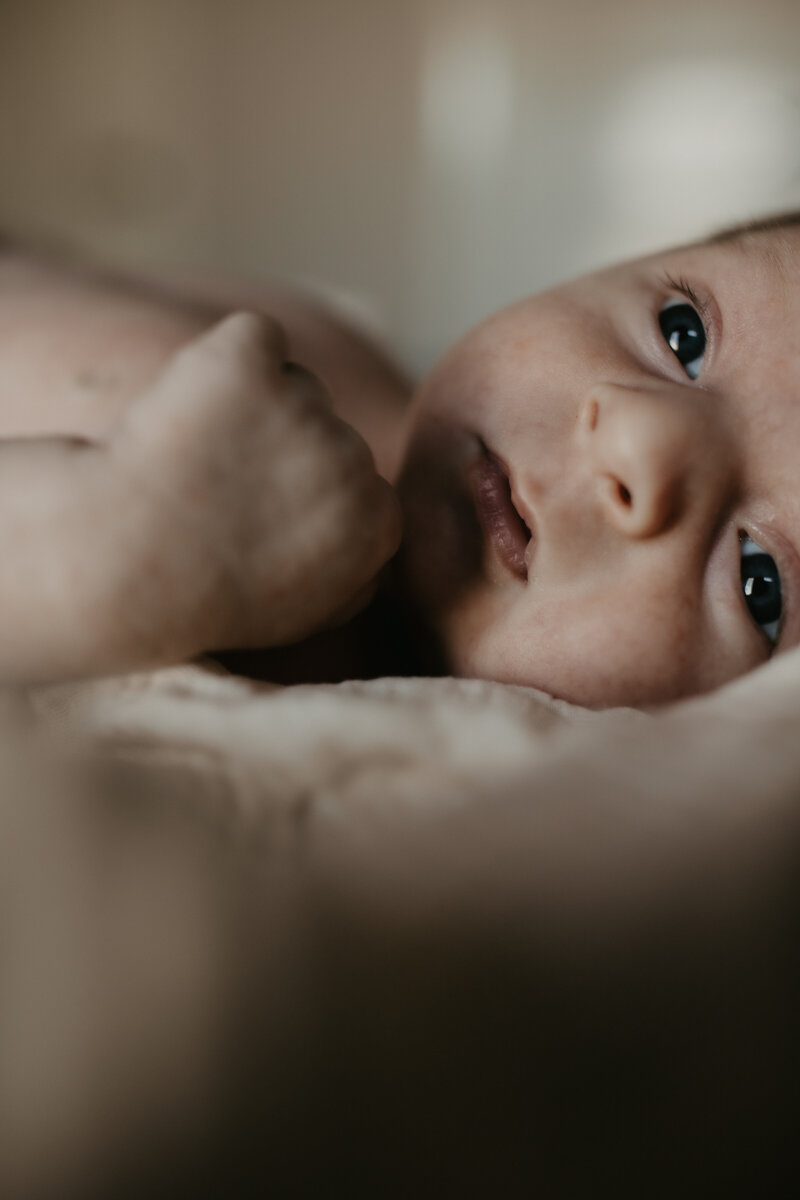 rex newborn7