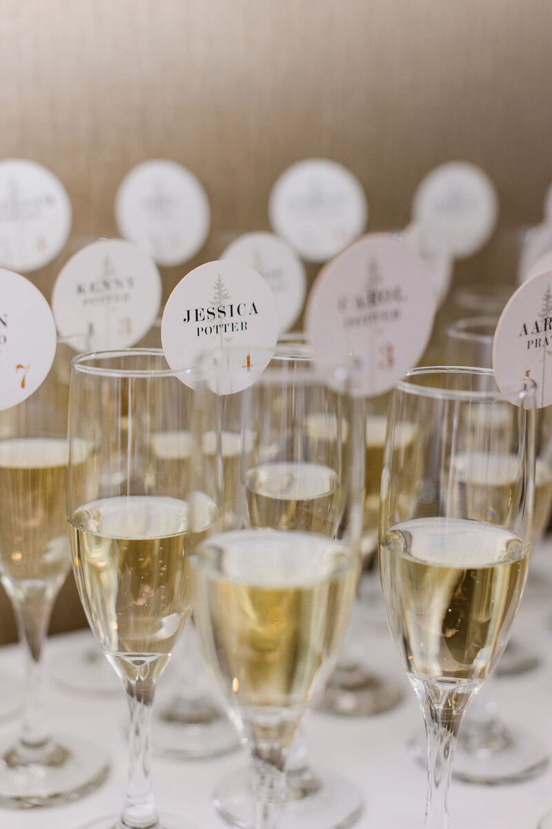 canmore-mountain-wedding-27