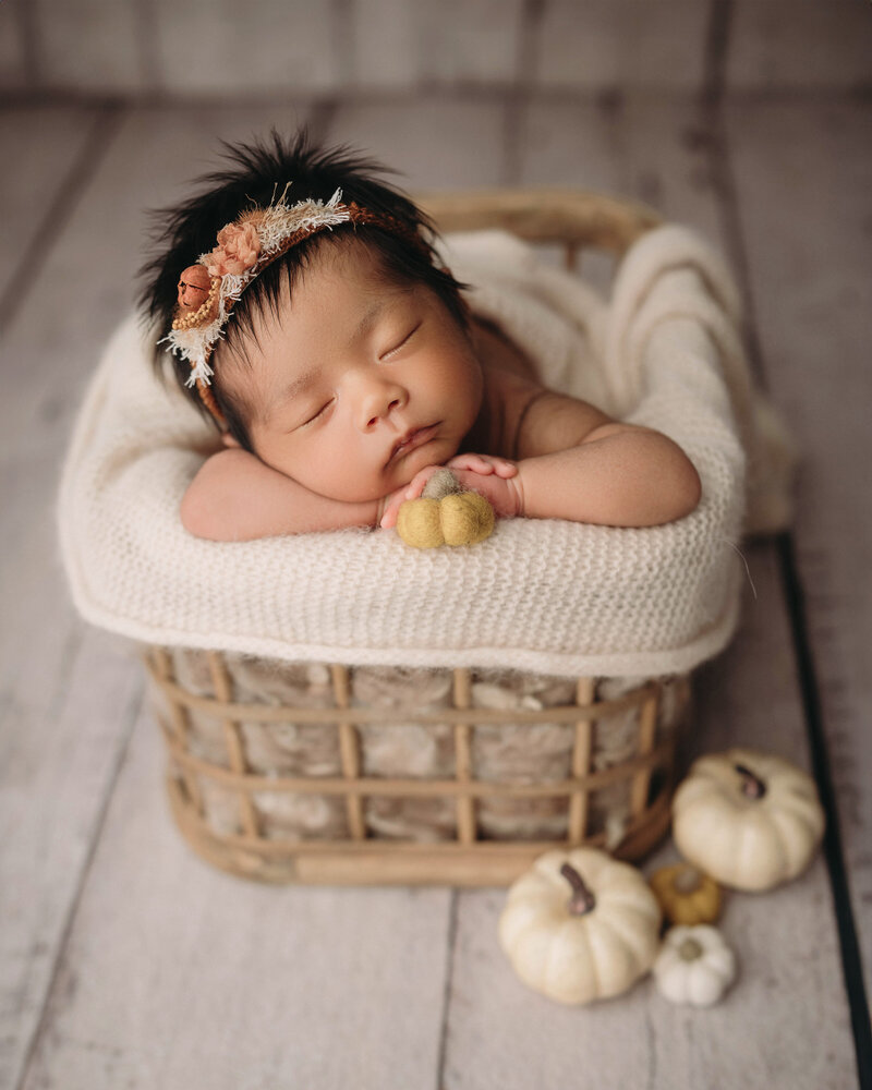 Milford Newborn Photographer Drea S Photo captures newborn baby girl posed ina basket surrounded by pumpkin at Newborn studio