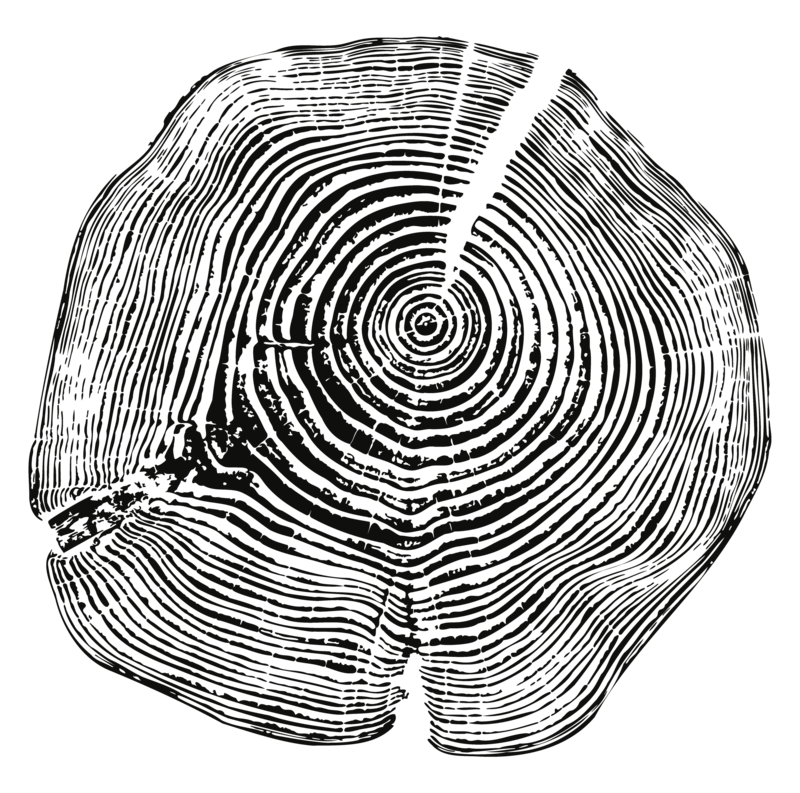 Alyn Wellness tree stump rings web element