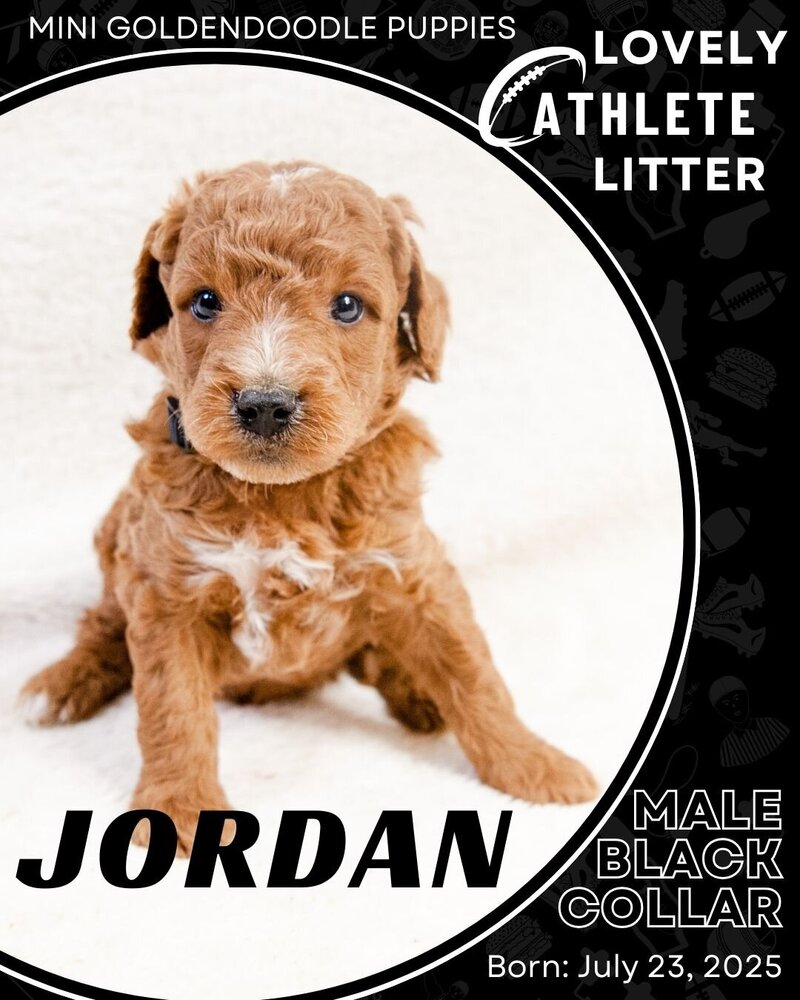 Athlete - Black Jordan Male