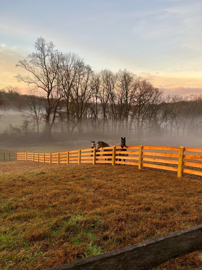 Kynynmont Farm, dressage facility PA, home of JP Dressage