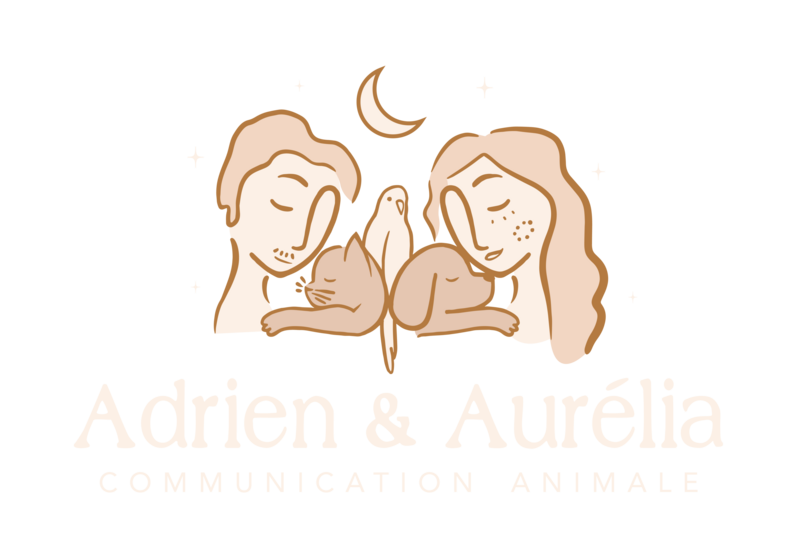 logo communication animale