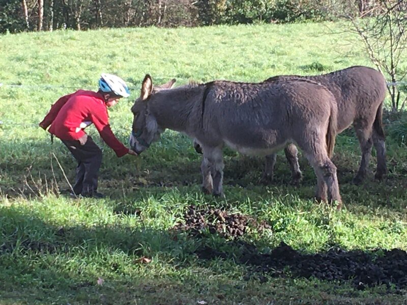 Ben-feeding-the-donkeys-scaled