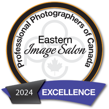 Celebrating newborn photography at its finest – PPOC Excellence Award 2024 Winner, Denise Husak.