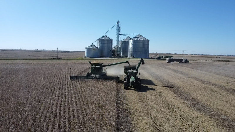 Hoffman family harvesting soybeans with combine and grain cart in Iowa.