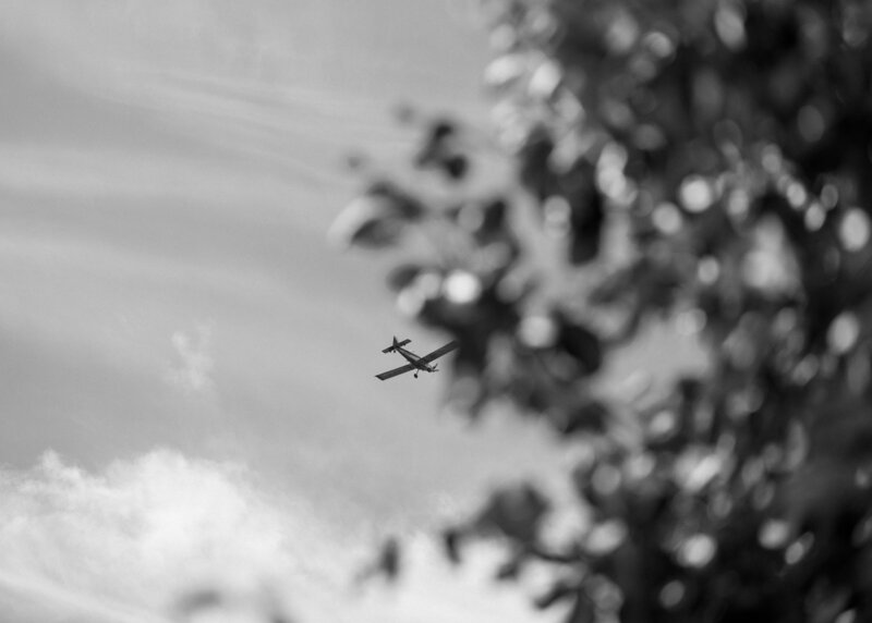 DSC_6047