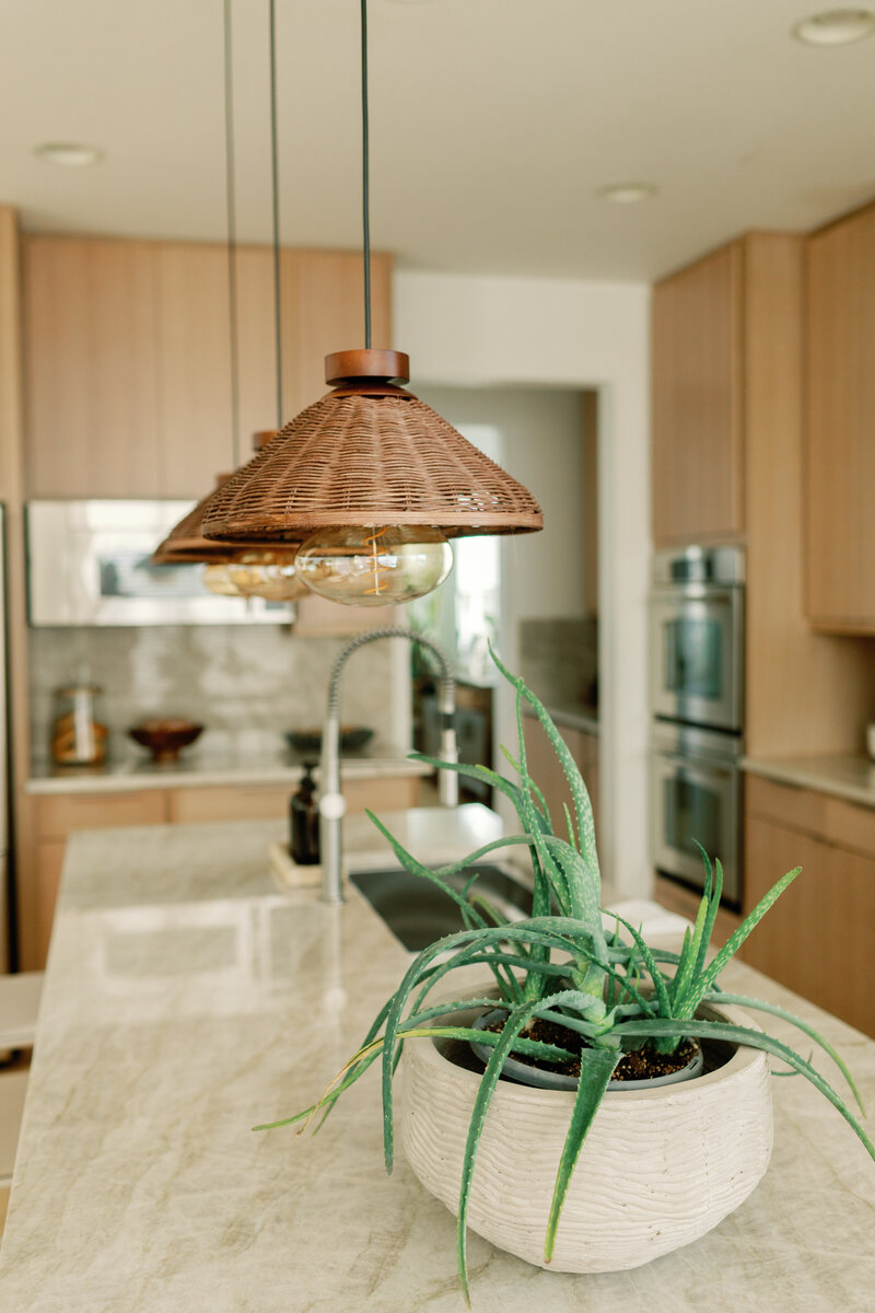 SHP-ContemporaryRoots-23
