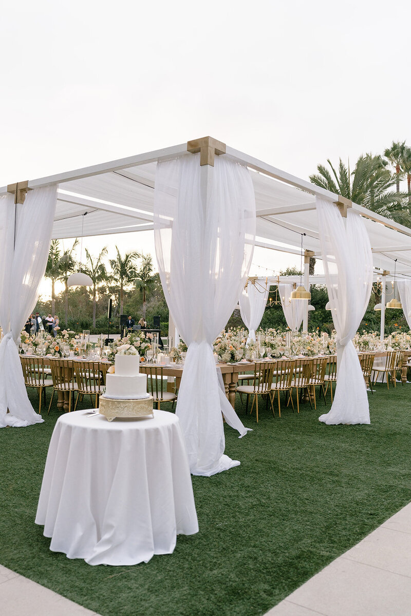 roula and wilder 09152024_erica streelman photographer-976