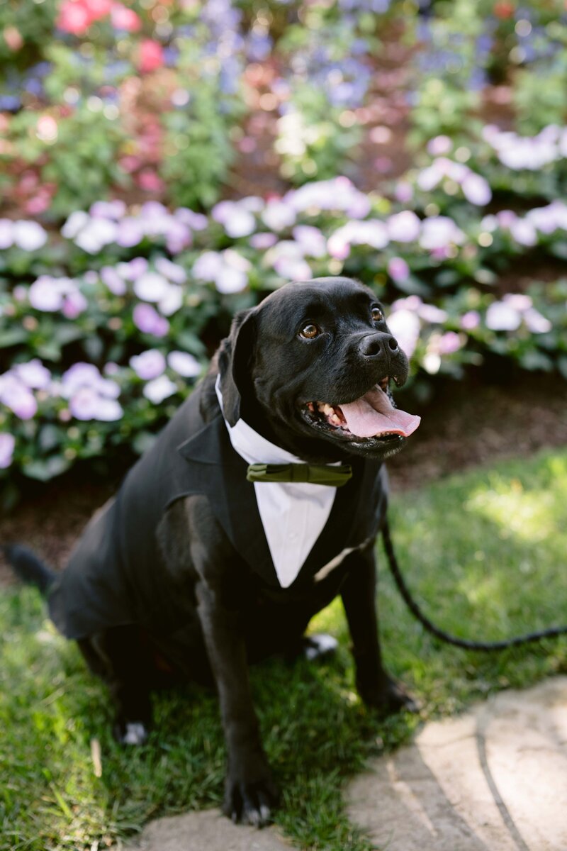Hailey + Nick-289