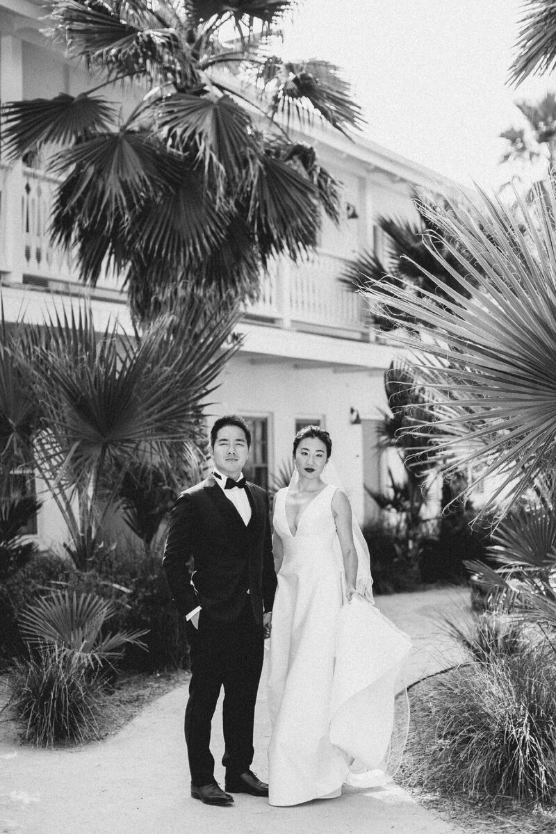 bride and groom posing in front of tropical trees