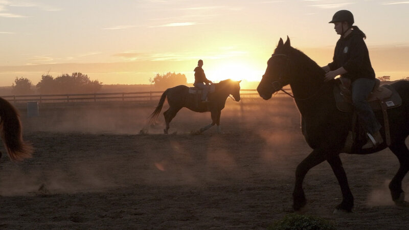 Horses silhouetted against a sunset backdrop at Spirit's Respite Ranch in Red Deer, Alberta, during a Therapeutic Horseback Riding session