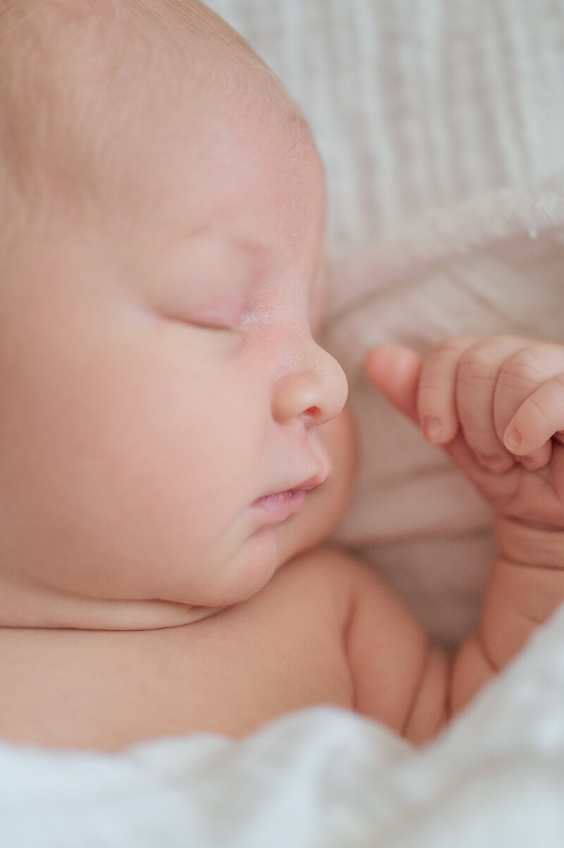 baby sleeping by york pa newborn photographers
