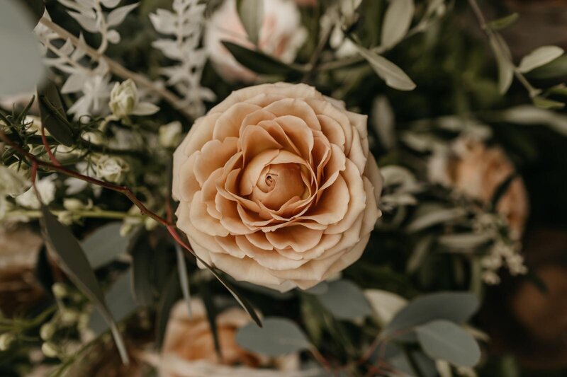 WhatsApp Image 2024-08-05 at 11.16.30