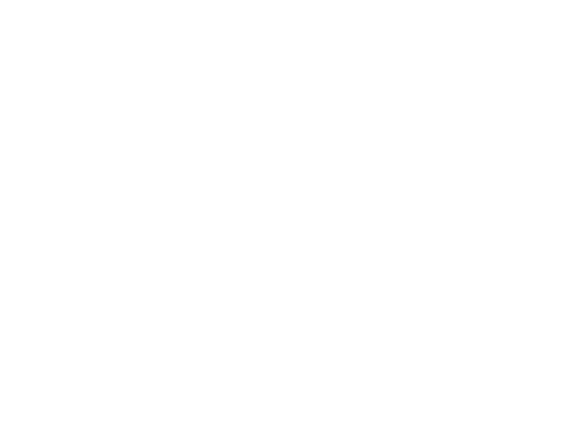 Aly Matei primary logo white