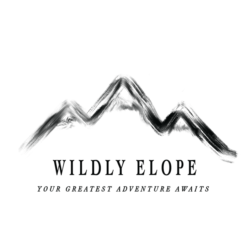 WildlyElope_logo_primary_black