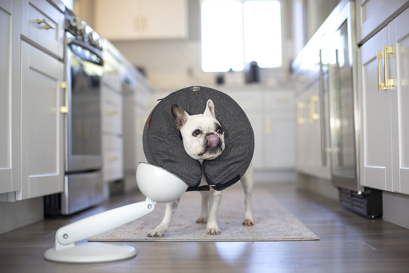 commercial-pet-product-photographer-san-diego