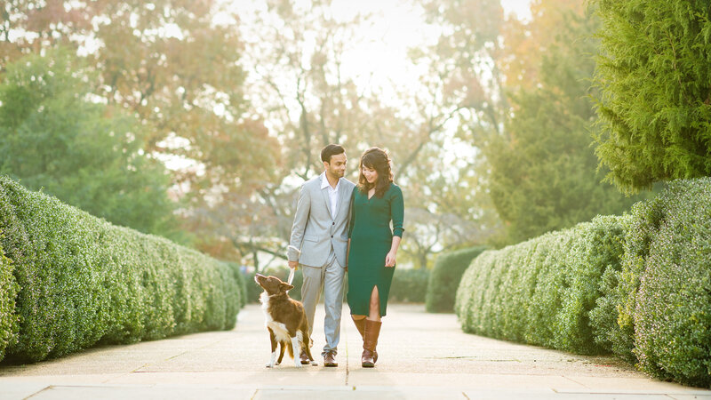 Engaged couple walking their dog during golden hour near the Philadelphia Museum of Art, enjoying the city views.