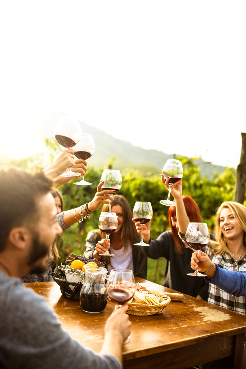 Group of friends raising a glass of wine in a vineyard