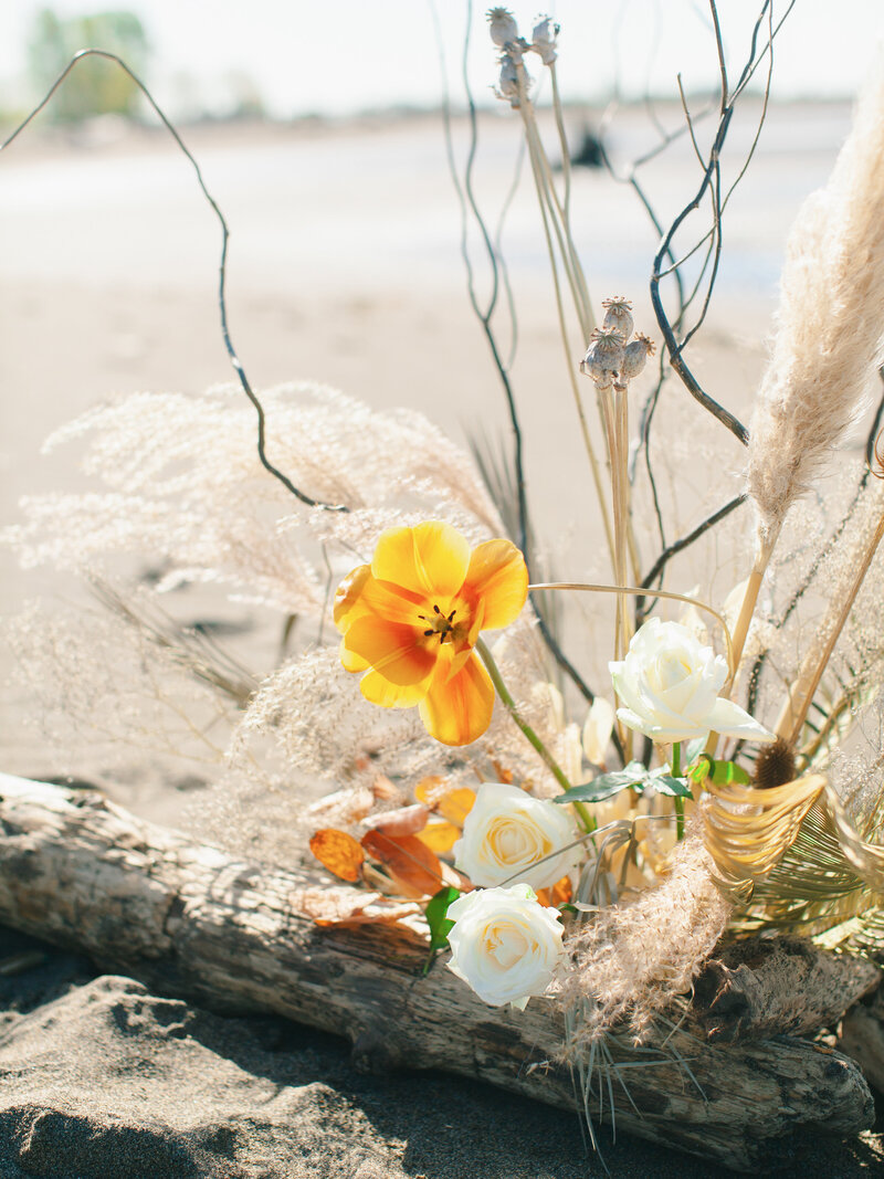 Bare_Beach_Wedding_Ideas_18