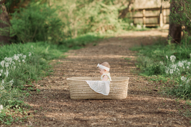 Baby sitting in a basket on wooden path by york pa photographer